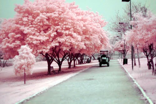 6a00e554f1ae9388330120a5dbe5a9970c 6a00e554f1ae9388330120a5dbe5a9970c