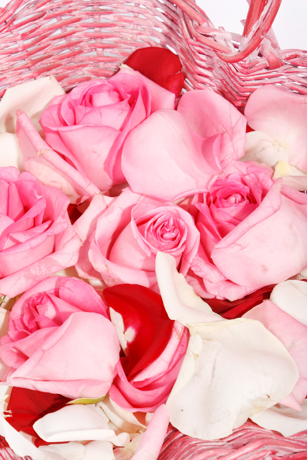 Flowersbasket Flowersbasket