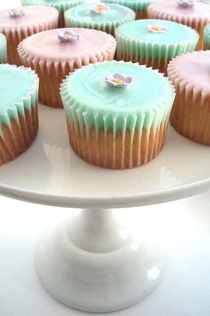 8215511_6eWv29xm_c 8215511_6eWv29xm_c