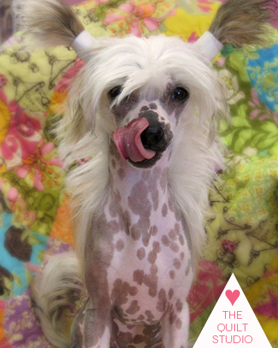 Image007-400 Image007-400