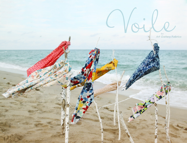 VOILE-Newsletter