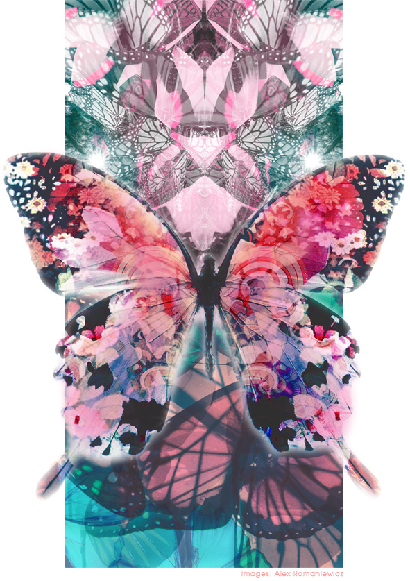 Trend-butterflies_1