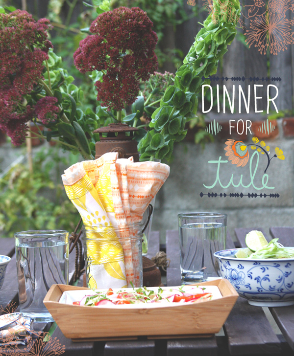 Napkinshoot6_cover1 Napkinshoot6_cover1