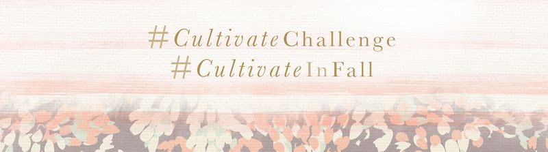 CultivateChallenge_bellow