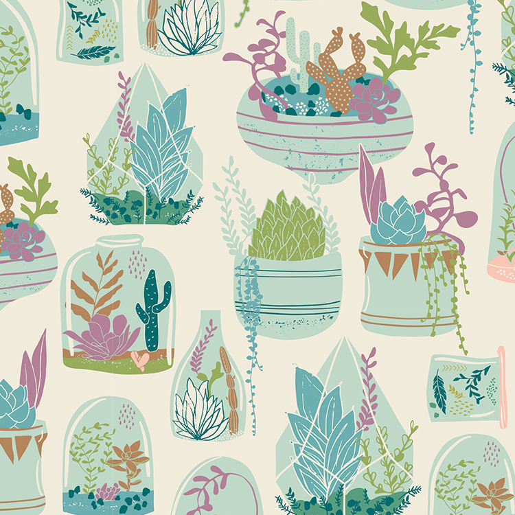 Succulents223