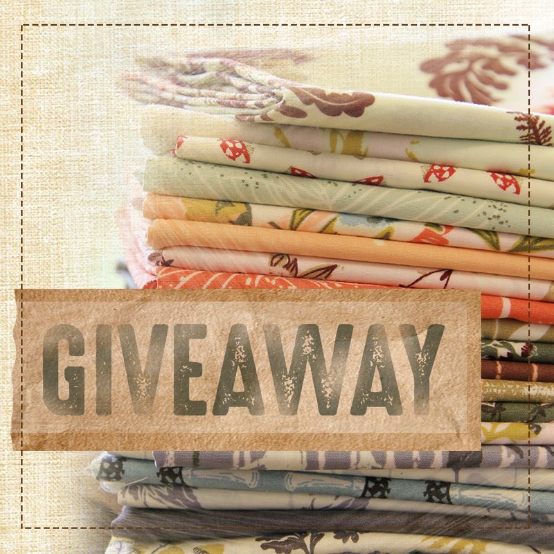 Forest Floor Giveaway