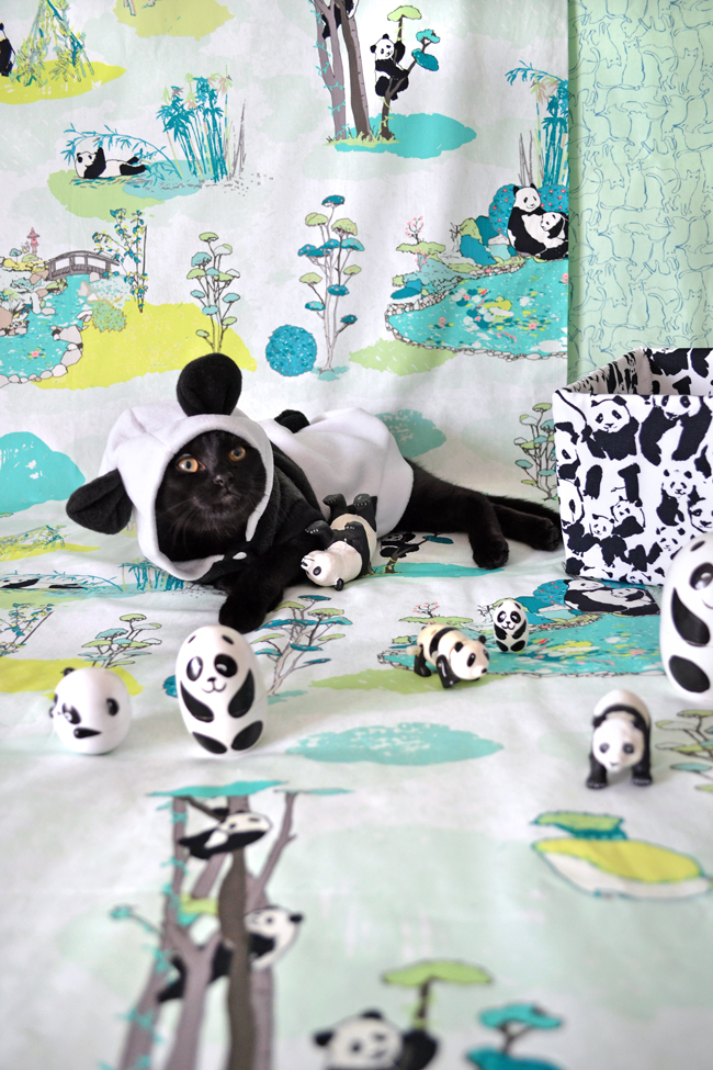 Furryamigo_2.1_web Furryamigo_2.1_web