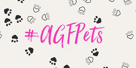 AGFPetsLogo