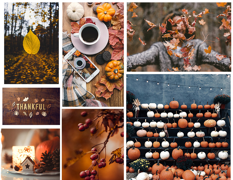 FallMoodBoard