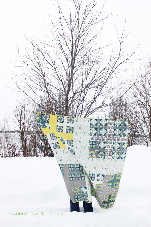 ShannonFraserDesigns.HeartlandPlusInfinityQuilt.P1