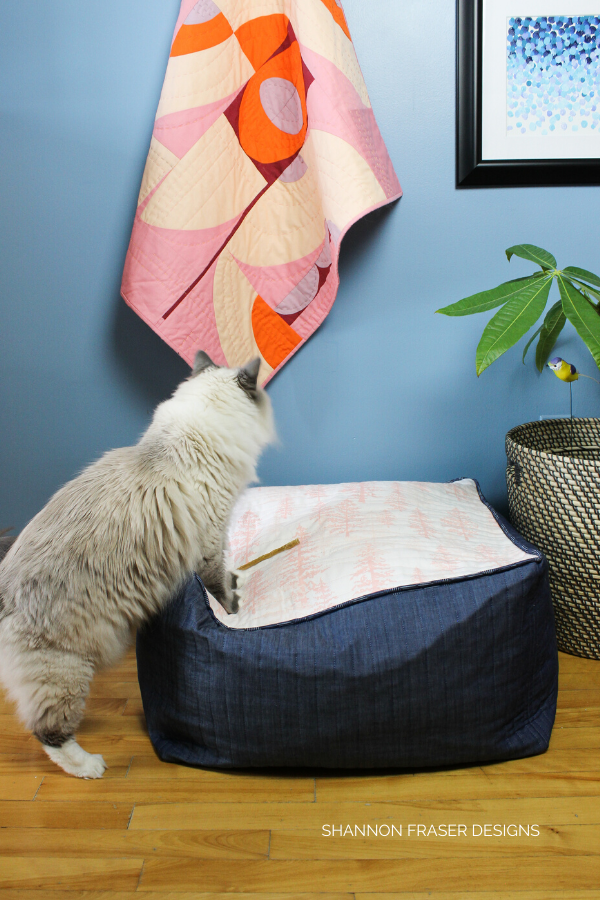 ShannonFraserDesigns.AGFFloorPillow.P17